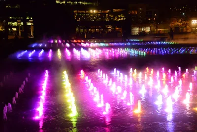 DSC_0714 (Large).JPG